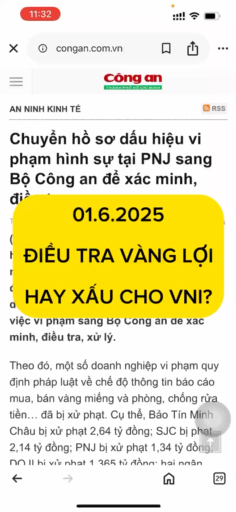 1.6.2025 ĐIỀU TRA VÀNG LỢI HAY HẠI CHO VNI? #vnsto