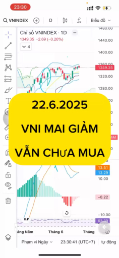 22.6.2025 VNI NẾU GIẢM VẪN CHƯA MUA #vnstocks #lin