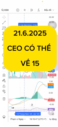 21.6.2025 CEO CÓ THỂ VỀ VÙNG 15 #vnstocks #cophieu