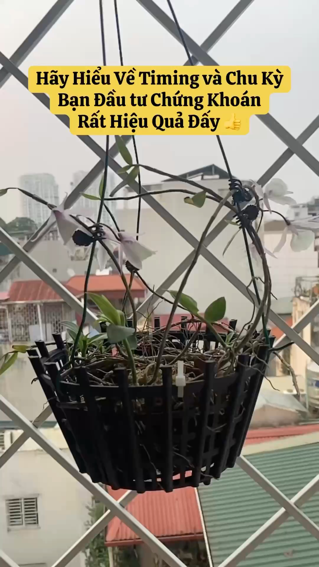 NĐT nên tìm hiểu timing đầu tư và chu kỳ cổ phiếu.