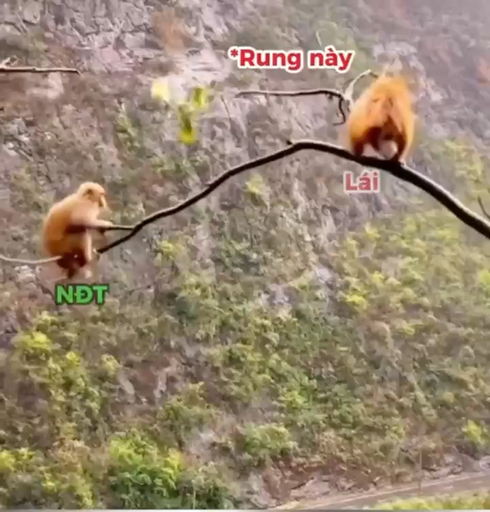 Đ.éo sợ 😥