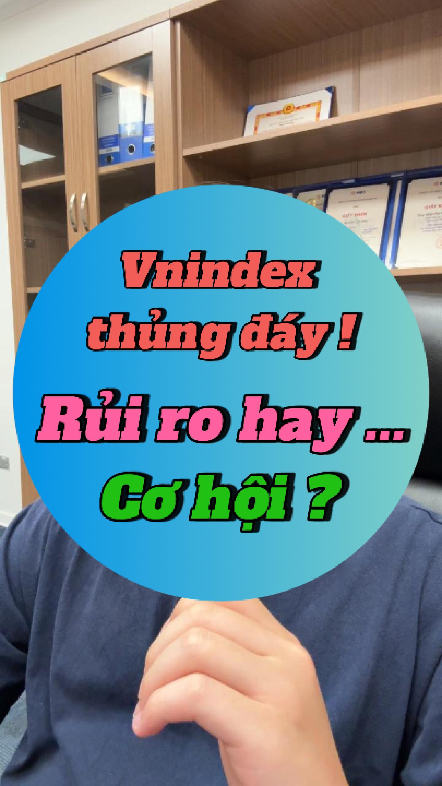 Vnindex thủng đáy là rủi ro hay ... cơ hội ? 