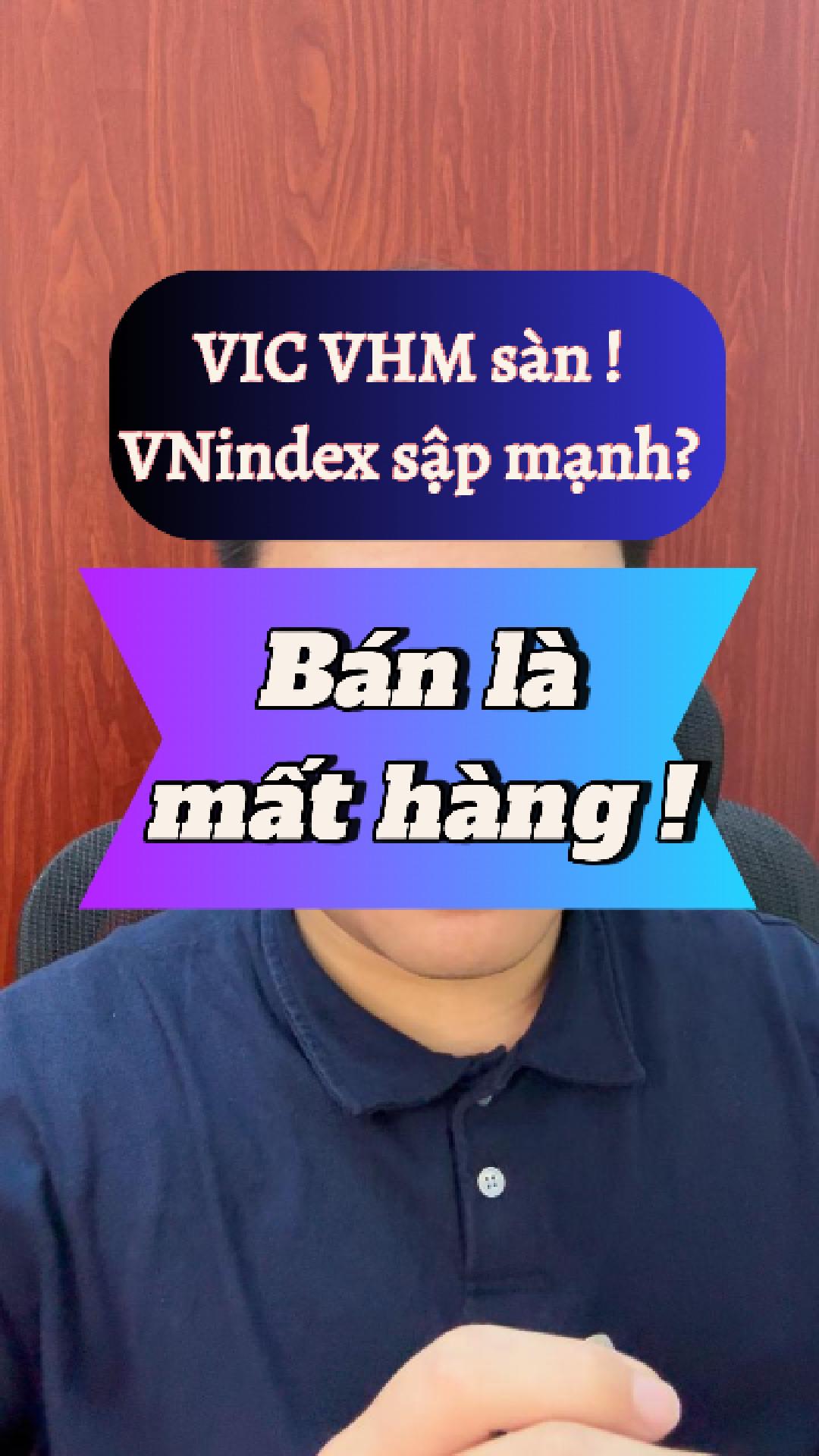 Vnindex sập mạnh cùng VIC VHM? Bán là mất hàng! 