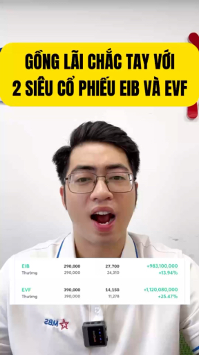 EIB EVF 30% liệu có được? #chungkhoannta #dautu #d