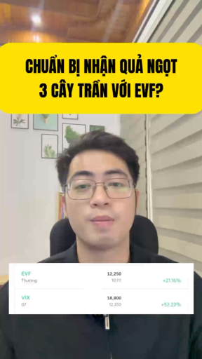 Chả nhẽ lại phải gồng lãi tiếp với EVF? #chungkhoa