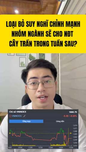 VNI khó chỉnh. Nhóm ngành tiếp theo sẽ trần tím tr