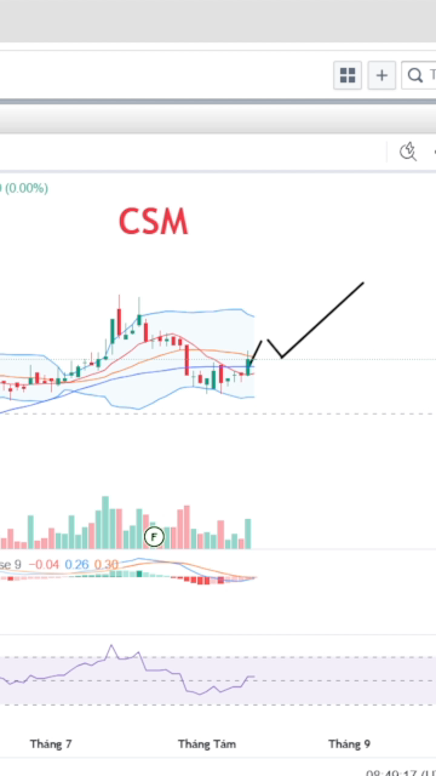 CSM  chỉ cần vậy