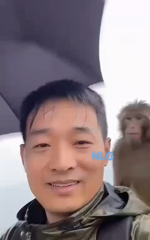 Bđs chuẩn bị ra đảo