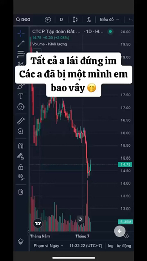 Các bác nay đừng bảo em là fomo đấy nhé