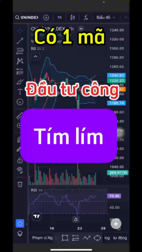 Cổ phiếu tím mà bạn đã bỏ qua #chungkhoan #vnindex