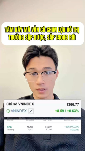 VNI tăng 70 điểm rồi vẫn còn chim lợn hô thị trườn