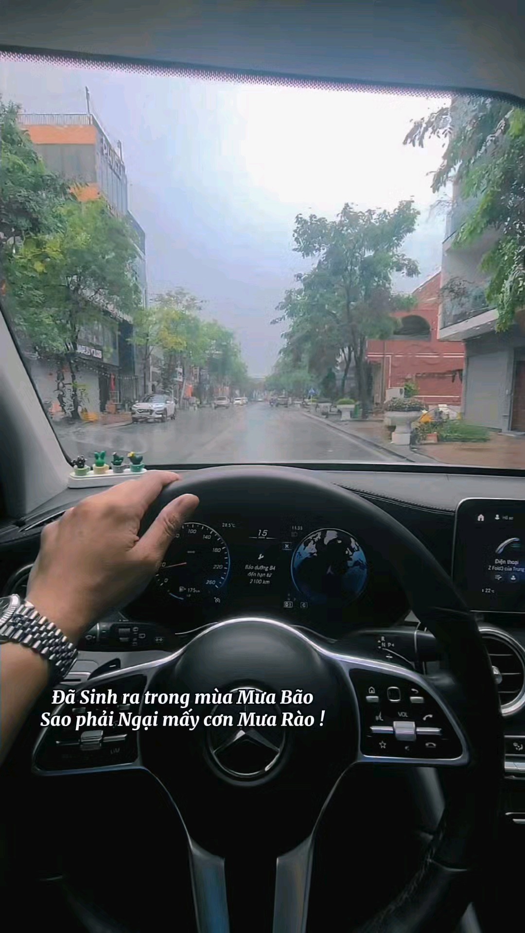 Đã sinh ra trong mùa mưa bão, sao phải ngại cơn mư