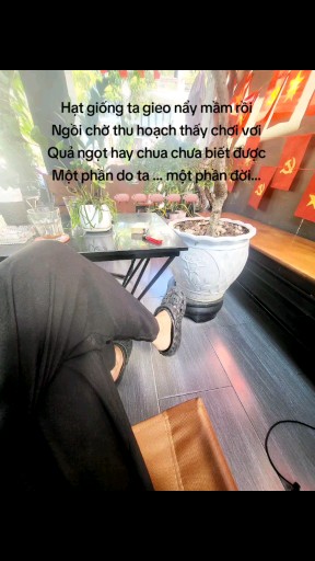 Hạt giống ta gieo nẩy mầm rồi
Ngồi chờ thu hoạch t