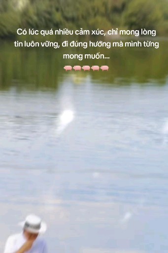 Có lúc quá nhiều cảm xúc. Chỉ mong niềm tin luôn v