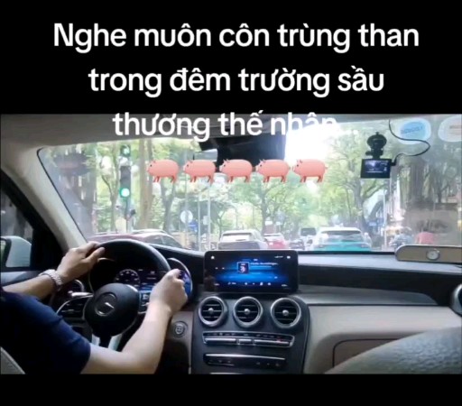 Nghe muôn côn trùng than trong đêm trường, sầu thư