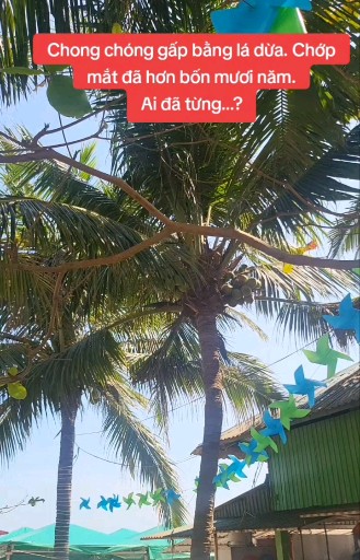 Chúng ta luôn gặp một vấn đề trong đầu tư, đó là q