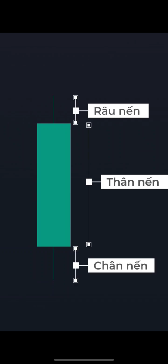 Đọc nến đơn giản cho NĐT F0