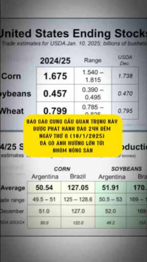 BÁO CÁO QUAN TRỌNG NÀY ĐƯỢC PHÁT HÀNH VÀO 24H ĐÊM 