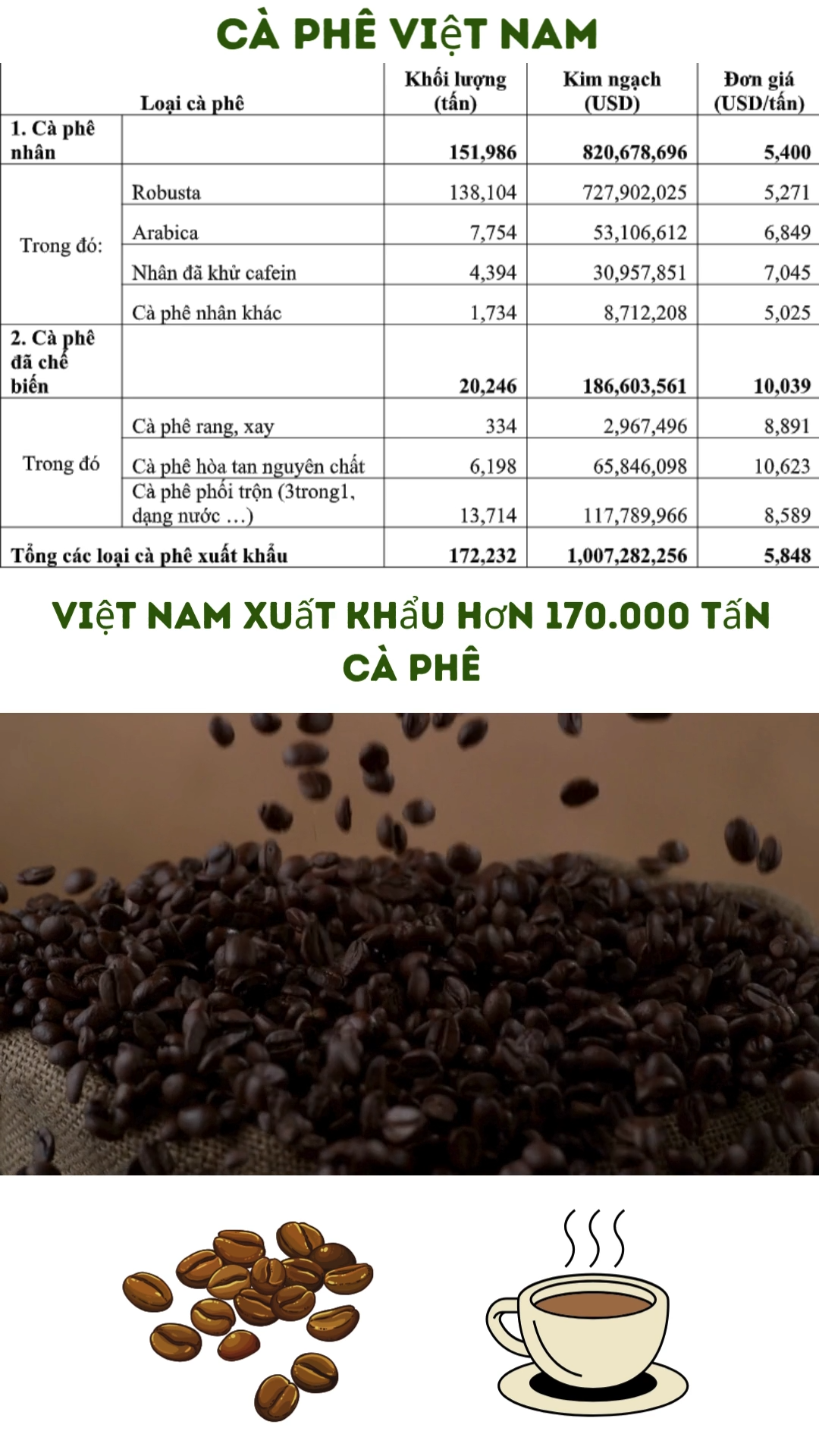 🔥 Cà phê Việt xuất khẩu kỷ lục, sao giá lại giảm?