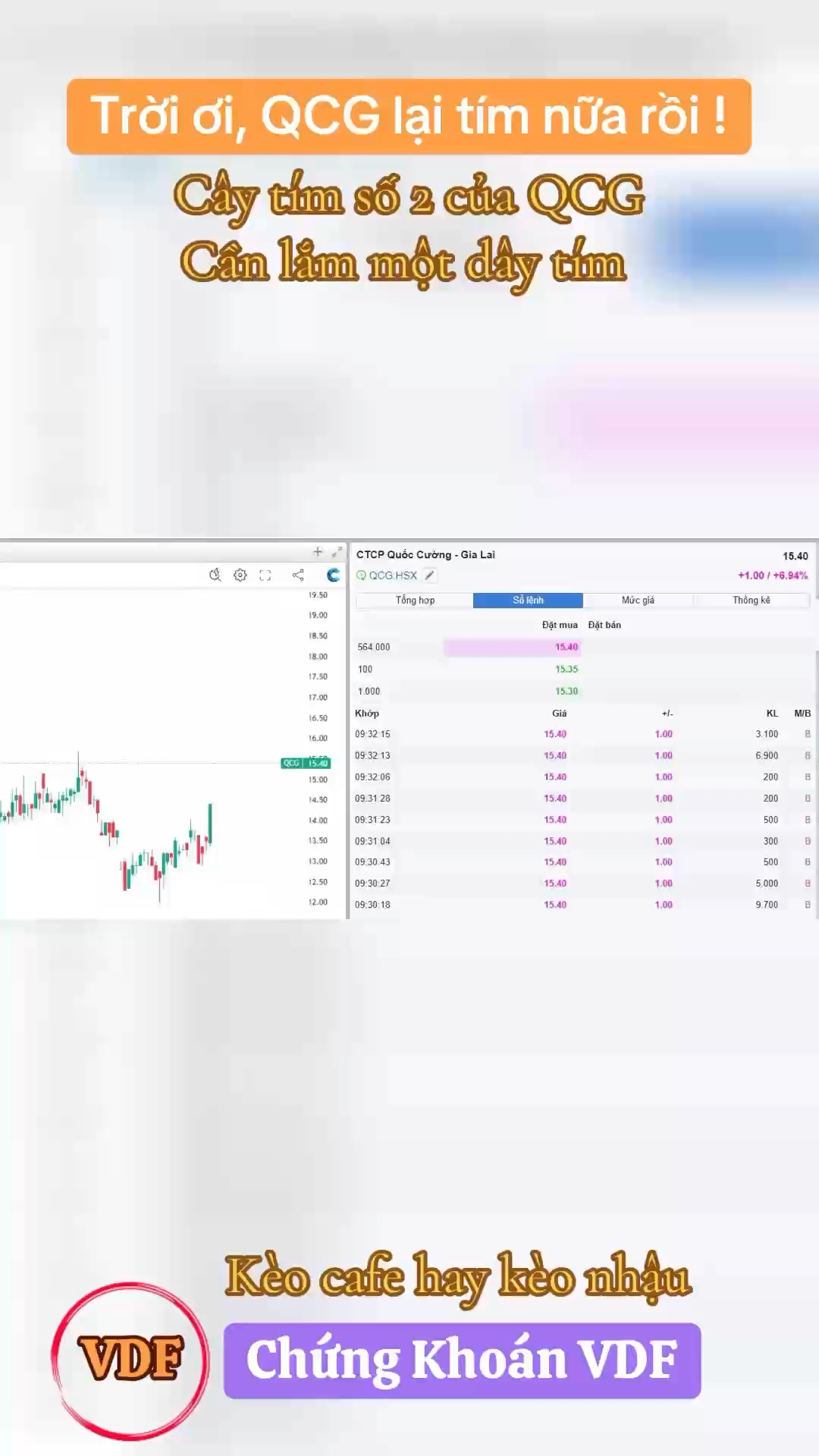 Trời ơi, QCG lại tím nữa rồi.
Cây tím số 2 của QCG