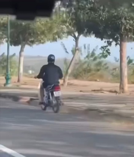 Anh vừa mua EVF sáng nay