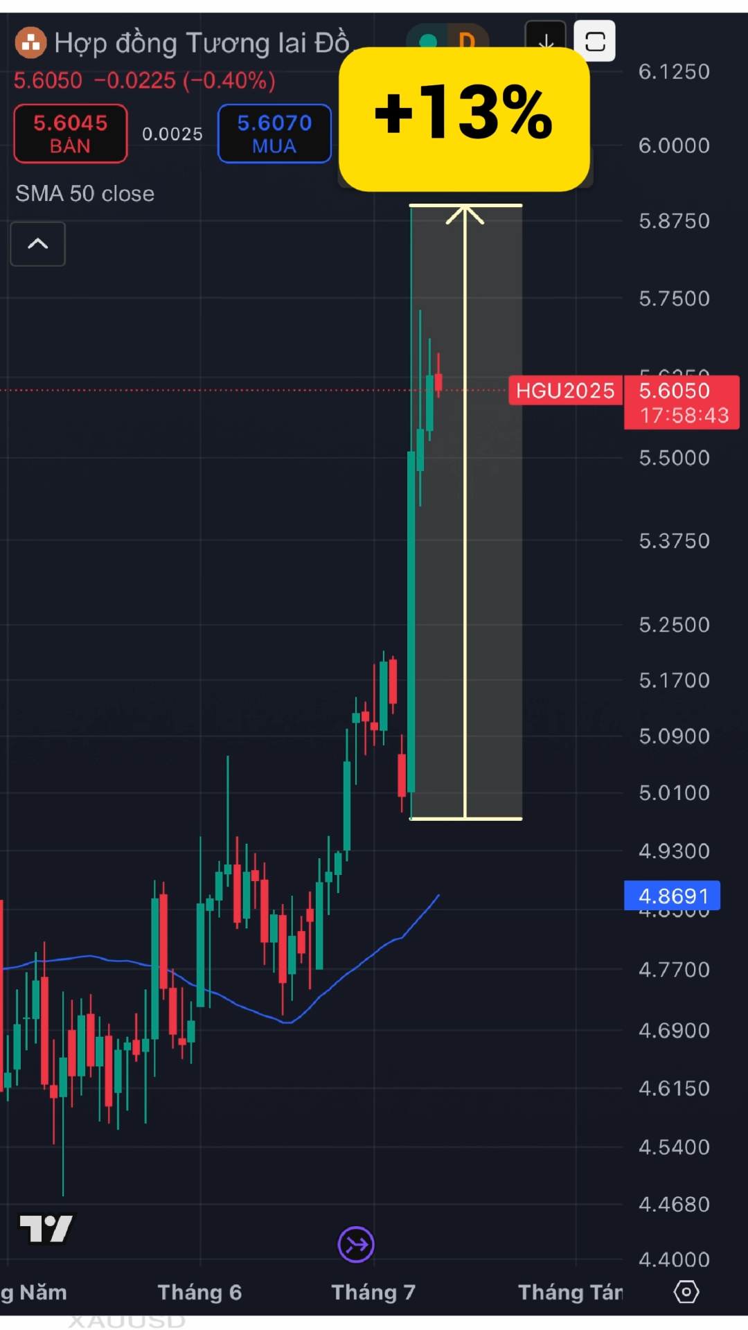 🔥🔥 ĐỒNG tăng hơn 13% sau khi TRUMP áp thuế 50% l