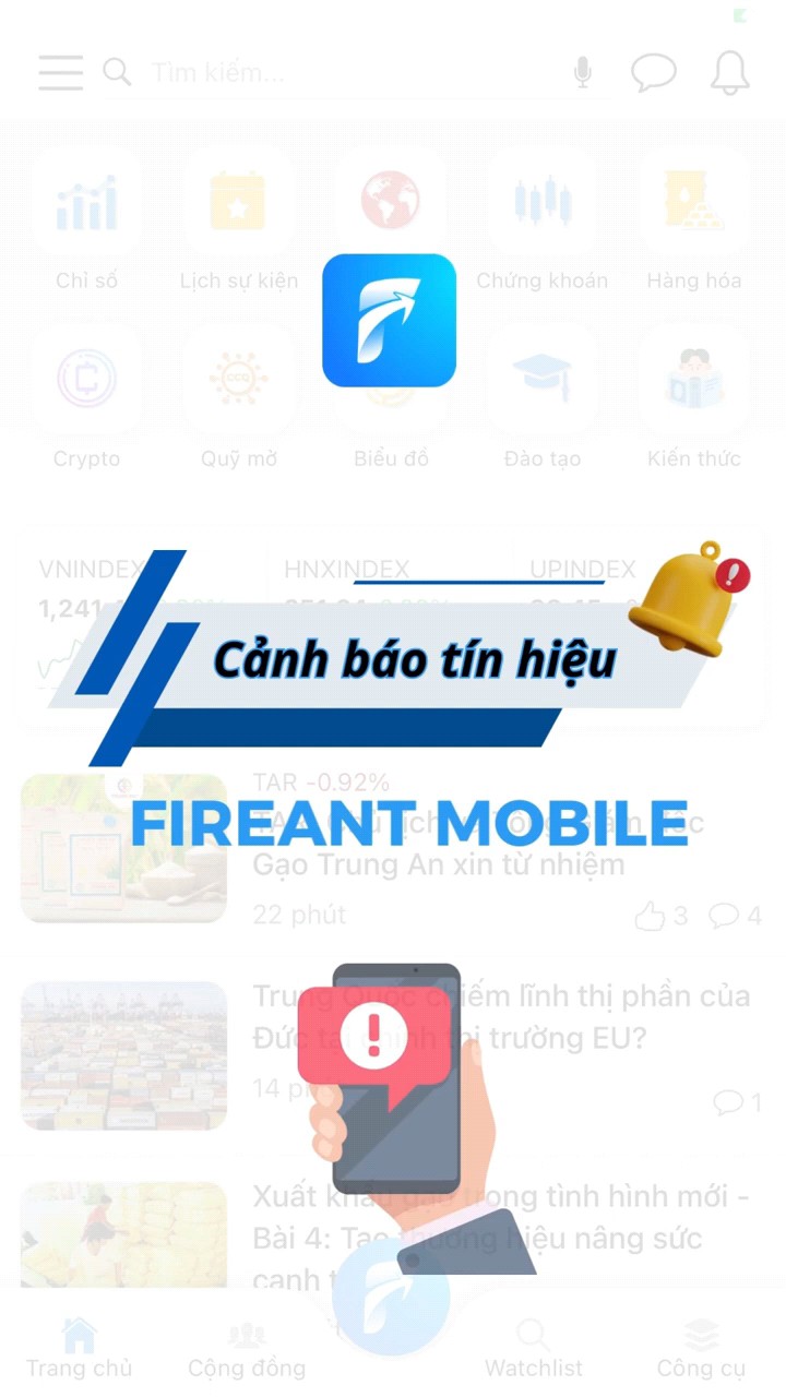 Cảnh báo cổ phiếu, nắm bắt cơ hội đầu tư kịp thời