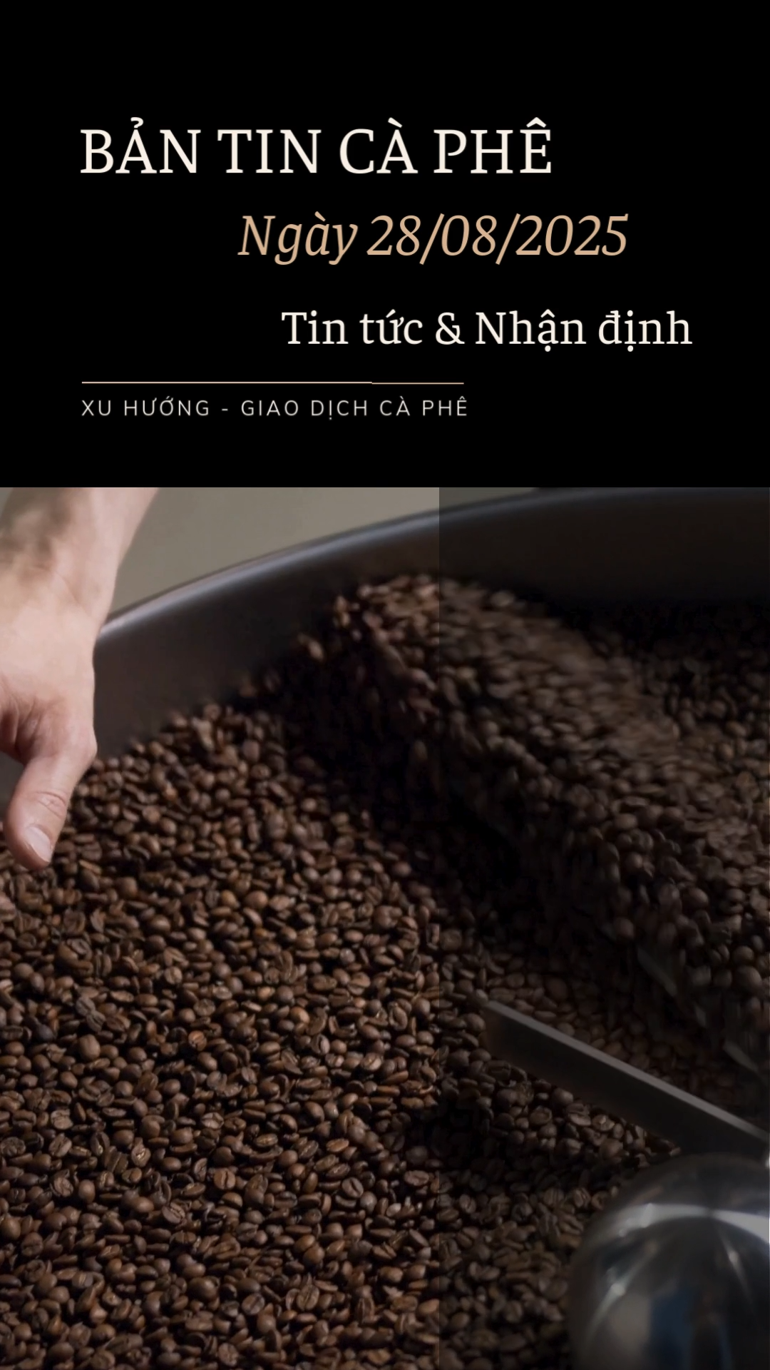 BẢNG TIN HÓNG GIÁ CÀ PHÊ: 28/08/2025