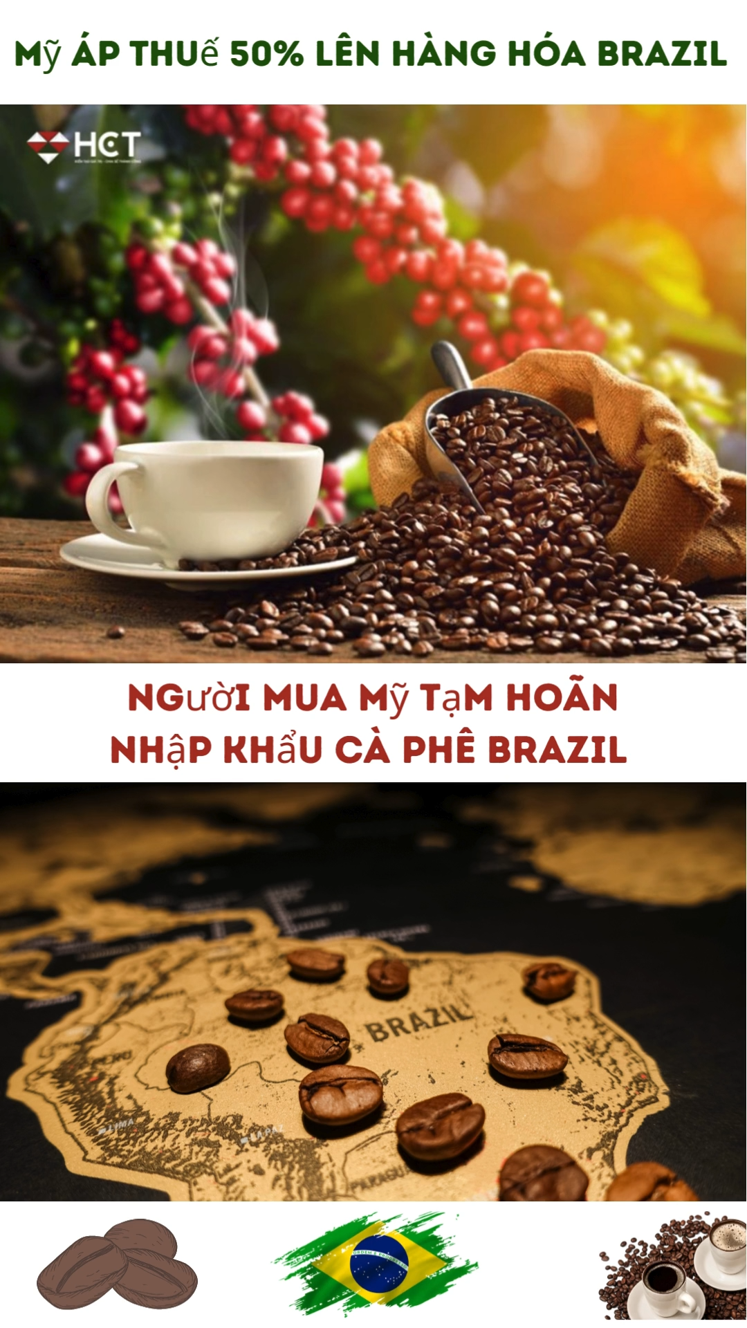 🔥 Thuế Mỹ, xuất khẩu Brazil giảm mạnh: Liệu xu hư