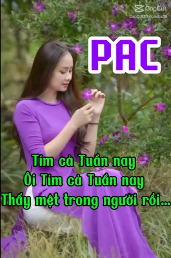 TÍM cả tuần nay 
Ôi TÍM cả tuần nay
Thấy mệt trong