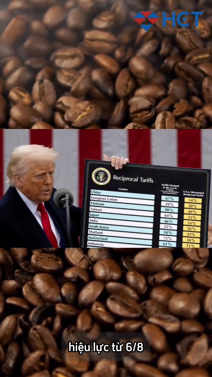 🎥 MỸ ÁP THUẾ 50% LÊN HÀNG HÓA BRAZIL – CƠ HỘI HAY