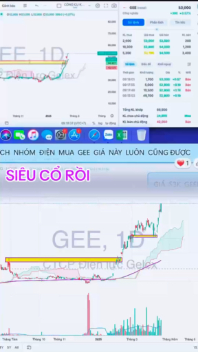 GEE 2024 -2025