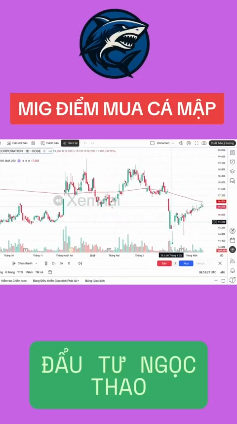 MIG điểm mua cá mập đã xuất hiện