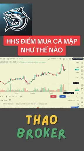 Hhs điểm mua cá mập