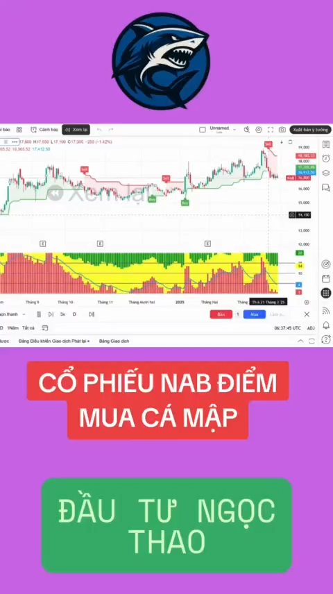 Cổ phiếu NAB điểm mua cá mập