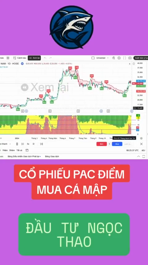 Cổ phiếu PAC điẻm mua cá mập