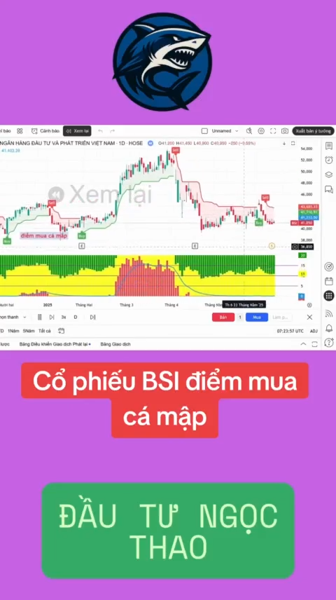 Cổ phiếu BSI điểm mua cá mập