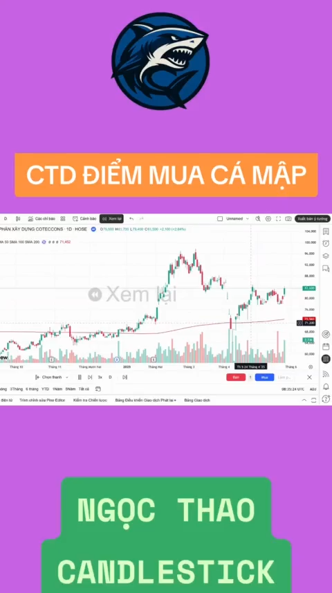 CTD điểm mua cá mập 
