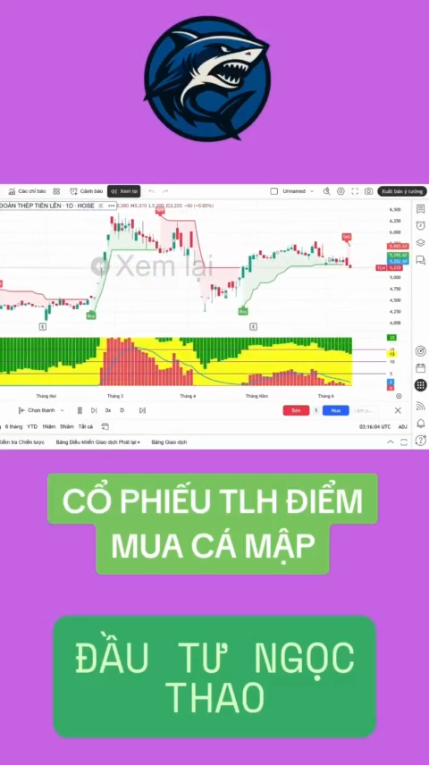 Cổ phiếu TLH diểm mua cá mập