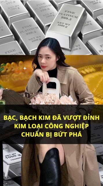 KIM LOẠI CÔNG NGHIỆP – ĐANG Ở ĐẦU CHU KỲ?

Vàng đã