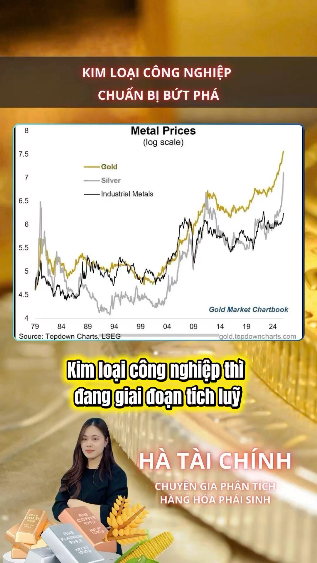 P2| KIM LOẠI CÔNG NGHIỆP – ĐANG Ở ĐẦU CHU KỲ?

Vàn