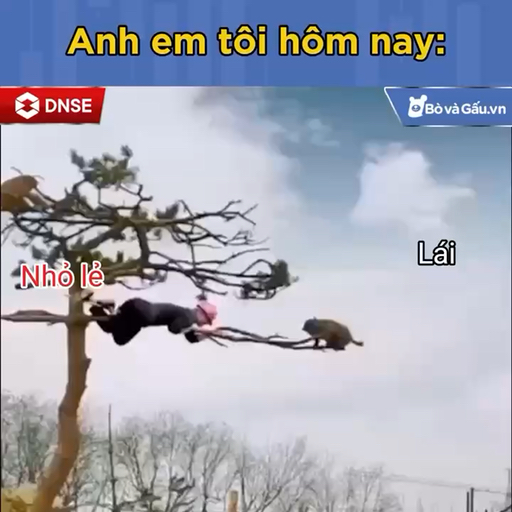 Đã Lo Lắng