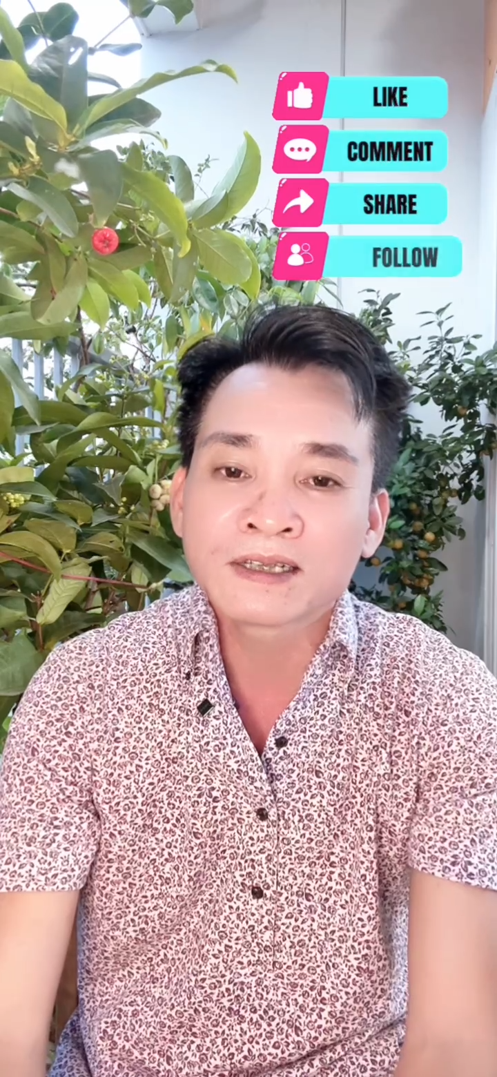 Bưng bô cho Vingroup?