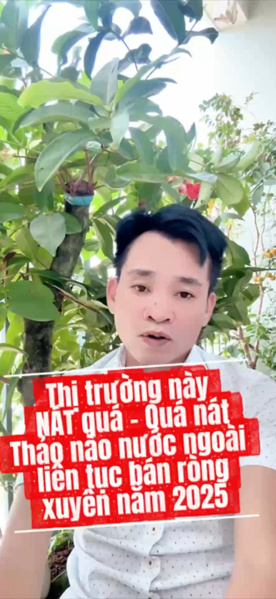 Thị trường này NÁT quá - Quá nát
Thảo nào nước ngo