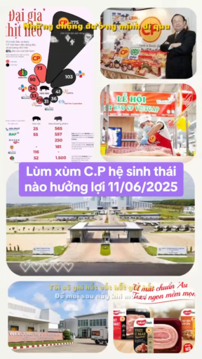 6 luận điểm đầu tư mạnh mẽ vào Masan Group (#MSN –
