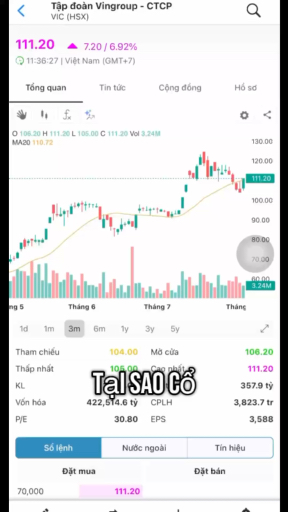 Tại sao #VIC #Vingroup trần??? #InvestWith #anhtua