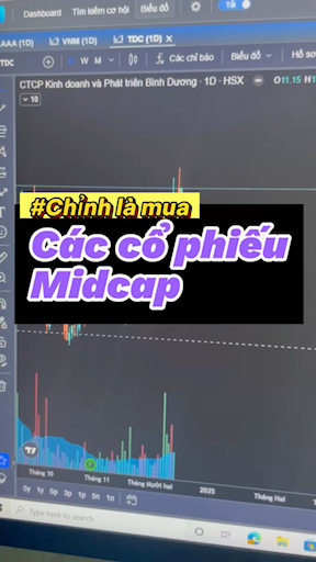 Chia sẻ 1 số mã midcap vốn hoá vừa và nhỏ còn điểm