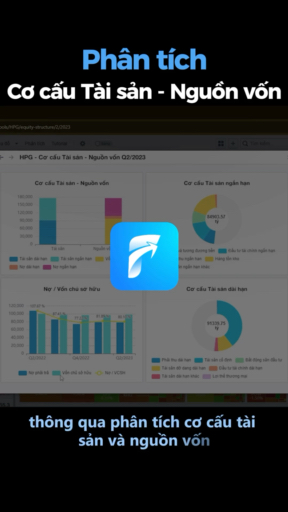 Phân tích cơ cấu Tài sản - Nguồn vốn
Nắm bắt tình 