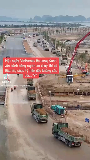 Toàn hổ Vồ à