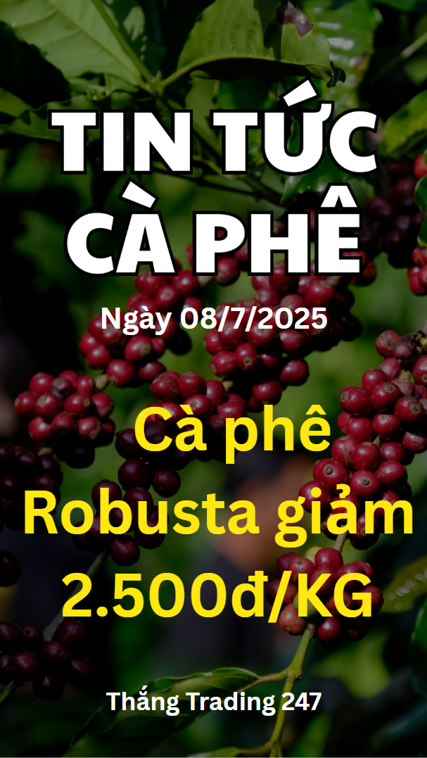 Tin Tức Cà Phê 08.7: Cà Phê Robusta Giảm 2.500đ/Kg
